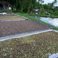 Photo de Bali - Banjar et Gitgit